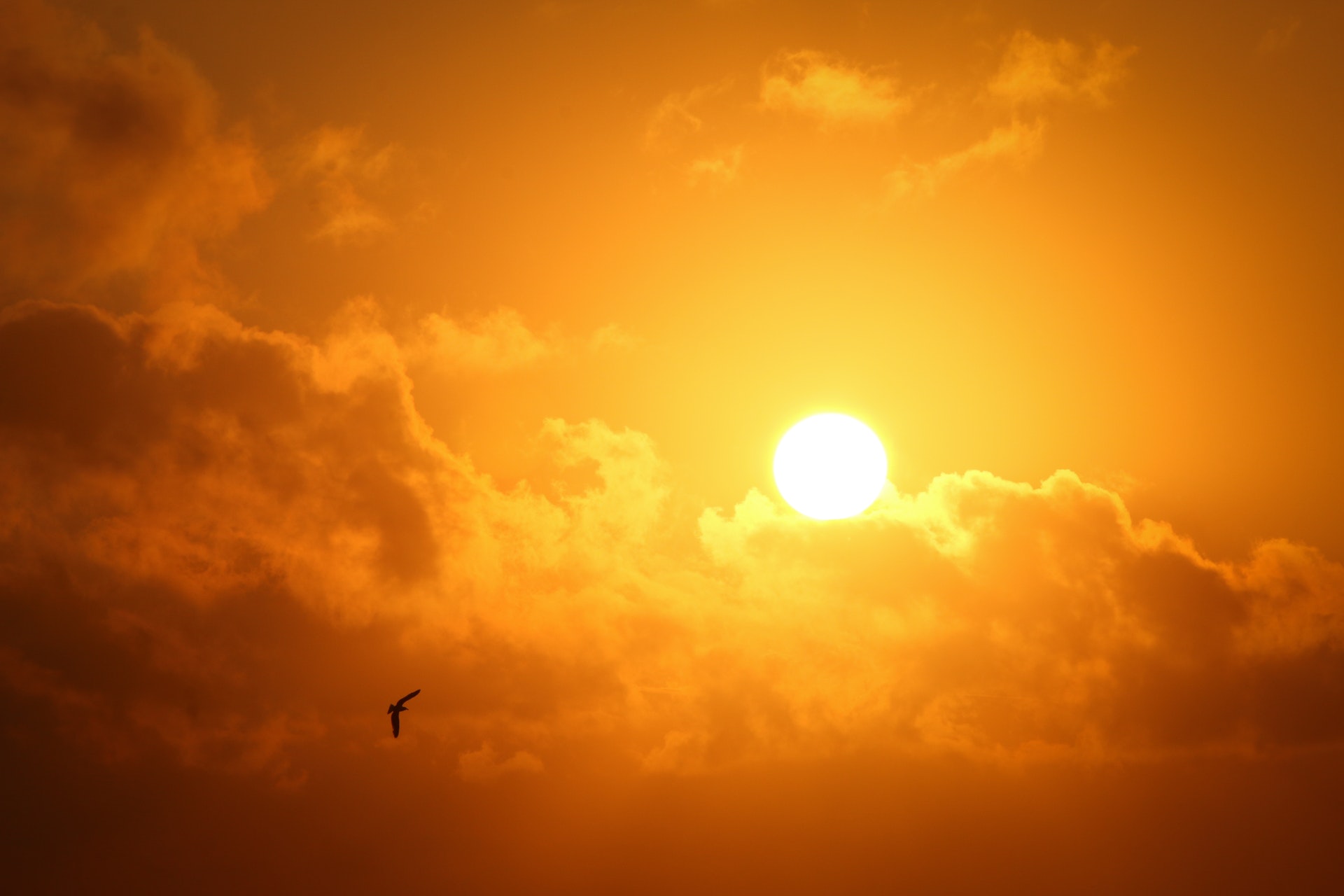Simulation par ordinateur d’éruptions solaires