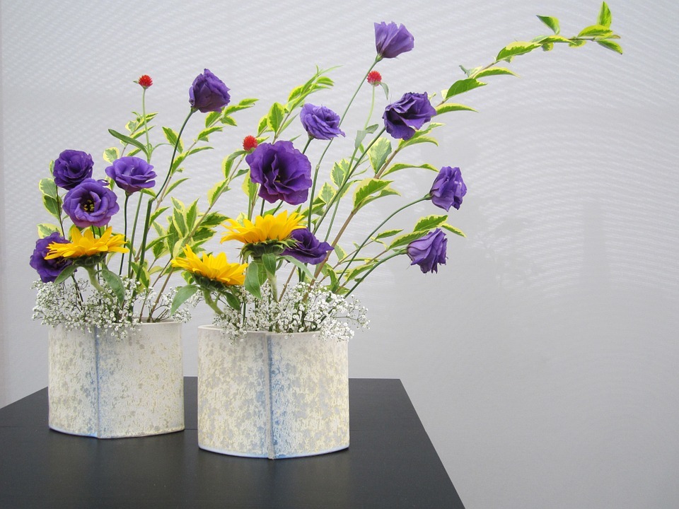 L’Ikeban, plus qu’un art floral, un mode de vie