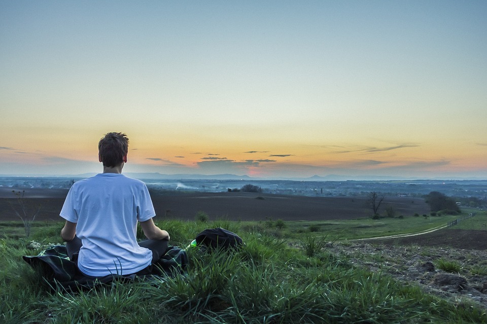Ikigai ou comment faire le bon choix dans la vie