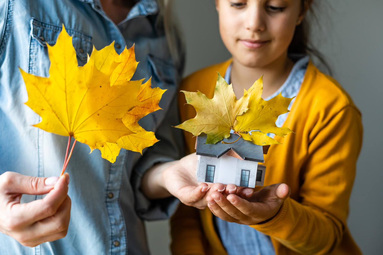 Comment rendre votre maison plus économe en énergie