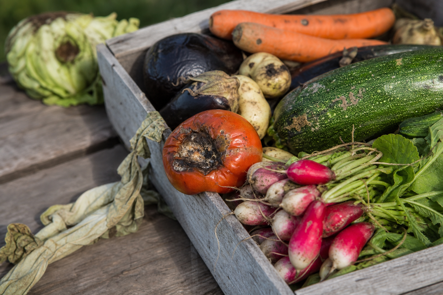 Pourquoi les fruits et légumes bio pourrissent-ils plus vite que les non-bio ?