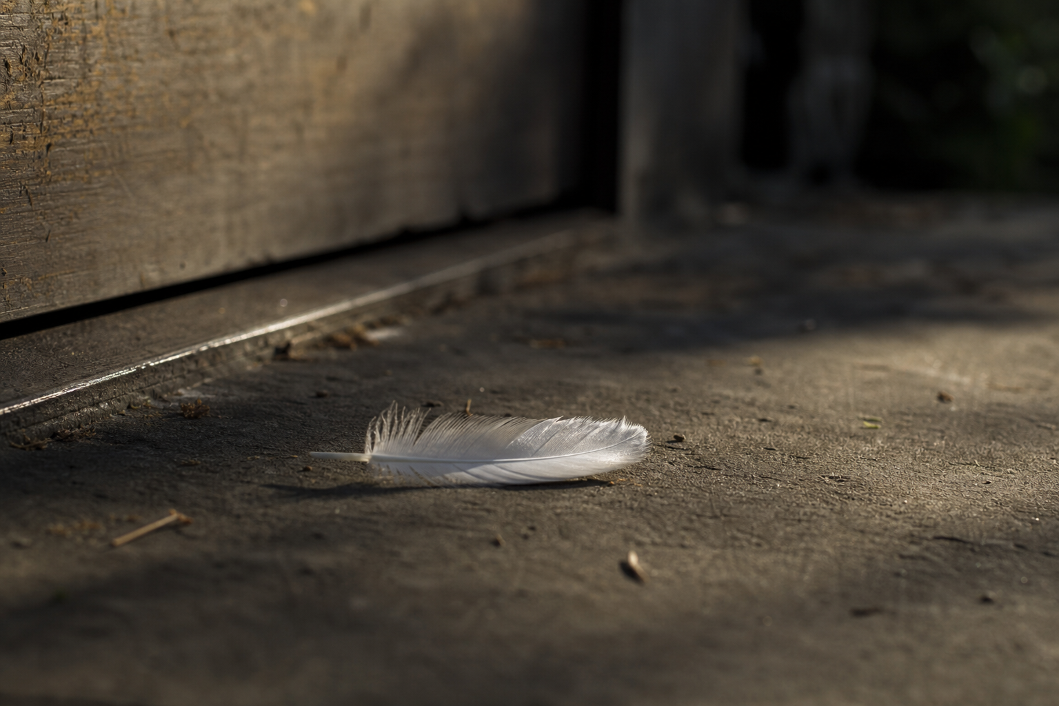 Que signifie voir une plume par terre ?